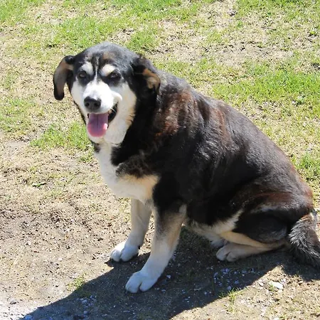 Klammhof Lejlighed *